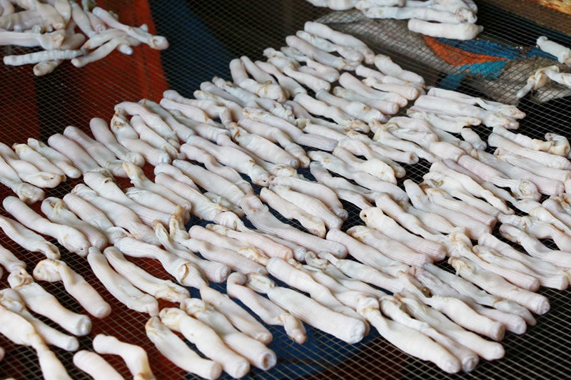 Du lịch Cát Bà mua gì làm quà. Đặc sản Cát Bà làm quà