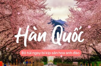 [🆕🇻🇳] Traveloka Vietnam – Nền tảng du lịch hàng đầu Đông Nam Á ♥️️ Top1Checkin ☑  Mùa xuân phải có hoa đào
Ngắm hoa chuẩn chỉnh đọc ngay bài nàyMùa xuân Hàn Quốc không chỉ có sắc hồng rực rỡ của hoa anh đào mà còn là  chuyến du lịch , shares-3✔️ , likes-68❤️️ , date-2025-03-19 04:11:47🇻🇳🇻🇳🇻🇳📰🆕