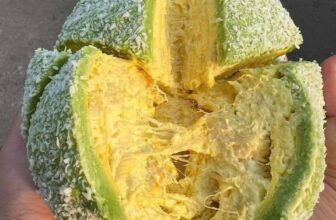 [🆕🇻🇳] Bánh Mì Phô Mai Giá Sĩ 🍔 Top1Food  🍜  𝐌𝐔𝐀 𝐋Ẻ 𝐕Ớ𝐈 𝐆𝐈Á 𝐒Ĩ 𝐂𝐑𝐄𝐏𝐄 𝐒Ầ𝐔 𝐀𝐔𝐓𝐇 𝐍𝐇𝐈Ề𝐔 𝐒Ầ𝐔 𝐂𝐇Ỉ #100𝐊 𝐯à 𝐦𝐞𝐧𝐮 𝐡ơ𝐧 𝟑𝟎 𝐥𝐨ạ𝐢 𝐛á𝐧𝐡
𝘾𝙤𝙢𝙗𝙤 #150k :
– 𝘾𝙧𝙚𝙥𝙚 𝙨ầ𝙪 𝙧𝙞ê𝙣𝙜 𝙖𝙪𝙩𝙝 ổ 14𝙘𝙢
, shares-0✔️ , likes-1❤️️ , date-2025-03-12 04:21:58🇻🇳🇻🇳🇻🇳📰🆕