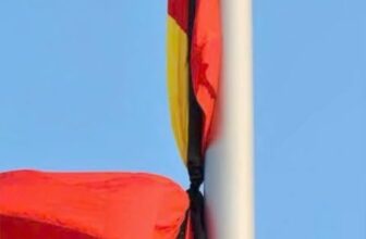 [🆕🇻🇳] Shop Mẹ Bi – Sữa, đồ ăn dặm em bé  🧑‍🧒❤️️👶⭐️  , shares-0✔️ , likes-0❤️️ , date-2024-07-21 02:46:22🇻🇳🇻🇳🇻🇳📰🆕