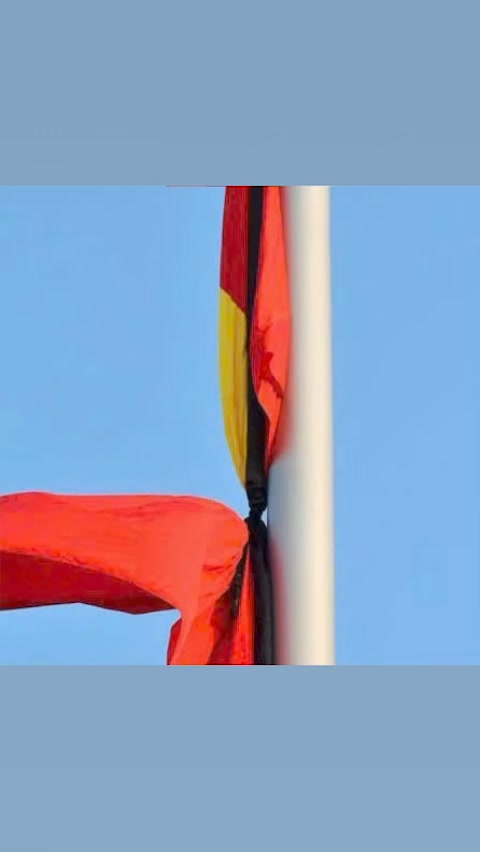 [🆕🇻🇳] Shop Mẹ Bi – Sữa, đồ ăn dặm em bé  🧑‍🧒❤️️👶⭐️  , shares-0✔️ , likes-0❤️️ , date-2024-07-21 02:46:22🇻🇳🇻🇳🇻🇳📰🆕