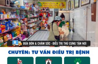 [🆕🇻🇳] Thú y PET HẬU NGHĨA – Thiên đường thú cưng 🐶🦜 Top1Pets 🐱🐠  , shares-6✔️ , likes-136❤️️ , date-2024-11-01 02:26:54🐶🐱🇻🇳🇻🇳🇻🇳📰🆕