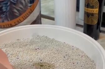 [🆕🇻🇳] Cát Vệ Sinh Cho Mèo Giá Rẻ Hà Nội  🐶🦜 Top1Pets 🐱🐠  , shares-0✔️ , likes-4❤️️ , date-2024-11-08 17:15:09🐶🐱🇻🇳🇻🇳🇻🇳📰🆕