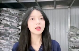 [🆕🇻🇳] OPET – dịch vụ cho thú cưng 🐶🦜 Top1Pets 🐱🐠  , shares-1✔️ , likes-660❤️️ , date-2024-11-15 22:18:37🐶🐱🇻🇳🇻🇳🇻🇳📰🆕