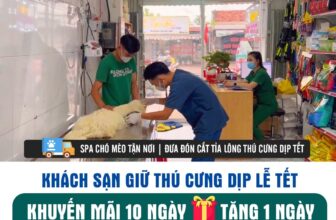 [🆕🇻🇳] Thú y PET HẬU NGHĨA – Thiên đường thú cưng 🐶🦜 Top1Pets 🐱🐠  , shares-2✔️ , likes-78❤️️ , date-2025-01-03 00:56:12🐶🐱🇻🇳🇻🇳🇻🇳📰🆕