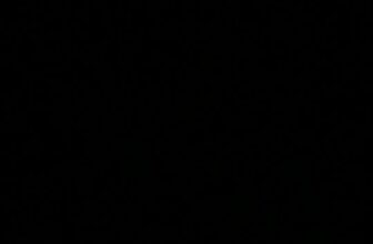 [🆕🇻🇳]  Bé Bụ Bẫm  (Hiểu mẹ Yêu con) 🧑‍🧒❤️️👶⭐️  , shares-0✔️ , likes-0❤️️ , date-2025-01-24 22:13:19🇻🇳🇻🇳🇻🇳📰🆕