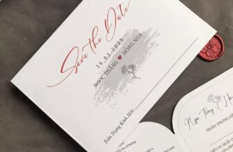 [🆕🇻🇳] Thiệp cưới Happy – THIỆP CƯỚI ĐẸP 🎨 Top1Designs ✨  Thiệp trả khách ạCám ơn dâu rể đã ủng hộ Happy
Chúc dâu rể hạnh phúc viên mãn nhé ạ
—–, shares-0✔️ , likes-3❤️️ , date-2025-03-05 02:41:07🇻🇳🇻🇳🇻🇳📰🆕