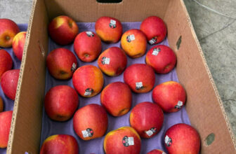 [🆕🇻🇳] F5 Fruit Shop Hồ Chí Minh-hệ thống bán lẻ Trái cây Nhập khẩu cao cấp 🍔 Top1Food  🍜  𝐓𝐚́𝐨 𝐊𝐨𝐫𝐮 𝐌𝐲̃
Giá bán: 90K/KG
Trái to, mã đẹp, giòn ngọt thơm ngon.
Mời cả nhà lên đơn ủng hộ ạ
————————-
𝐋𝐢𝐞̂𝐧 𝐡𝐞̣̂ đ𝐞̂̉ đ𝐮̛𝐨̛̣𝐜 𝐦𝐮𝐚 , shares-1✔️ , likes-0❤️️ , date-2025-03-12 23:30:02🇻🇳🇻🇳🇻🇳📰🆕