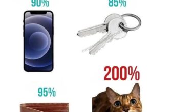 [🆕🇻🇳] Nu Pet – Yêu Thú Cưng 🐶🦜 Top1Pets 🐱🐠 Nó đi 1 tuần rồi vác cái bụng bầu về
, shares-0✔️ , likes-7❤️️ , date-2025-03-06 16:00:35🐶🐱🇻🇳🇻🇳🇻🇳📰🆕