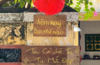 [🆕🇻🇳] Tiệm ăn Gặm – Chân gà muối sả ớt 🍔 Top1Food  🍜 Hôm nay…Bạn có đang mỉm cười với chính mình không? Có khi nào bạn nhìn vào gương và thấy một khuôn mặt quen thuộc, nhưng đôi khi lại quên mất yêu thương  , shares-1✔️ , likes-16❤️️ , date-2025-03-06 06:24:50🇻🇳🇻🇳🇻🇳📰🆕