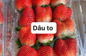 [🆕🇻🇳] Hoa Quả 4Mùa – Cửa hàng rau quả 🍔 Top1Food  🍜 #dâumộcchâu  e về giá sập sàn30 phút e trả đơn nhé
#Dâu Tây mộc châu hàng mới mỗi ngày
Dâu VIP – 249k/ kg
Dâu to -210k/ , shares-0✔️ , likes-0❤️️ , date-2025-03-05 19:16:49🇻🇳🇻🇳🇻🇳📰🆕