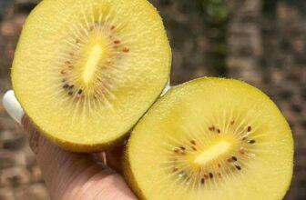 [🆕🇻🇳] Hoa Quả 4Mùa – Cửa hàng rau quả 🍔 Top1Food  🍜  𝙆𝙄𝙒𝙄 𝙑𝘼̀𝙉𝙂 Đ𝘼̀𝙄 𝙇𝙊𝘼𝙉
Kiwi siêu ngọt, hàng XỊN XÒ , RẤT HỢP ĐI BIẾU – Hàng vừa về tới đây ạ – GIÁ CỰC TỐT CHO CE MÌNHEm còn 4thung sale nhanh cho khách , shares-0✔️ , likes-0❤️️ , date-2025-03-03 02:47:07🇻🇳🇻🇳🇻🇳📰🆕