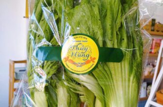 [🆕🇻🇳] In tem nhãn Bình Dương – Thiết kế & in tem nhãn theo yêu cầu tại Bình Dương 🎨 Top1Designs ✨  TEM NHÃN RAU CỦ QUẢ
Nhận thiết kế và in ấn mọi kích thước và số lương
Tem chống nước, in xong cắt bế sẵn
Liên hệ shop để được tư vấn và báo giá
Hotline , shares-1✔️ , likes-2❤️️ , date-2025-03-06 20:58:18🇻🇳🇻🇳🇻🇳📰🆕