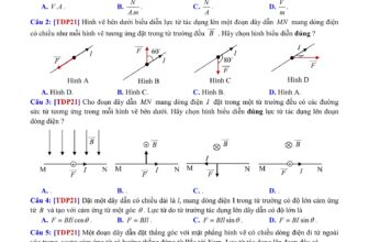 [🆕🇻🇳] Học Toán Lí cùng thầy Ái và Tư Duy Mở 📚 Top1Learn 📕 Vật Lý cùng thầy Ái và TDM tặng 2K7 một đề tự luyện do chính tay thầy Ái biên soạn tỉ mỉ tâm huyết, giúp các em nắm chắc phần LỰC TỪ mức điểm từ Cơ bản đến , shares-26✔️ , likes-463❤️️ , date-2025-03-09 19:36:01🇻🇳🇻🇳🇻🇳📰🆕