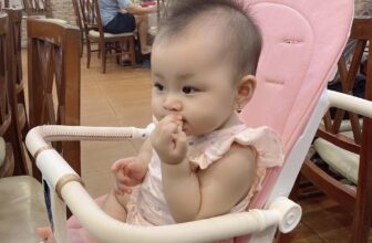 [🆕🇻🇳]  Jami Baby Store – Chuyên hàng body xuất dư trẻ em Carter, Geo, Old Navy chuẩn 100% 🧑‍🧒❤️️👶⭐️ Bộ cánh tiên siu xinh, siu điệu cho bé
, shares-0✔️ , likes-7❤️️ , date-2025-03-06 16:31:51🇻🇳🇻🇳🇻🇳📰🆕