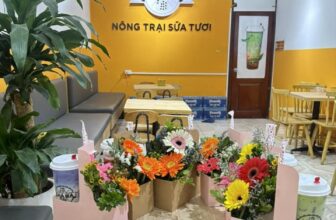 [🆕🇻🇳] Chà Bá Hoài Đức – Hà Nội  – Hệ thống cửa hàng Sữa Tươi Chà Bá Việt Nam 🍔 Top1Food  🍜 Nhà em còn đúng 6set hoa thôi ạ,bán qua giờ đơn ngập mặt luôn ạQuý vị muốn đặt 1 món quà thì nhanh tay nha
, shares-41✔️ , likes-4❤️️ , date-2025-03-08 19:02:12🇻🇳🇻🇳🇻🇳📰🆕