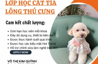 [🆕🇻🇳] Alo Pet – Mỹ Tho 🐶🦜 Top1Pets 🐱🐠 Bạn đã quá mệt mỏi với công việc hiện tại
Bạn có đam mê mãnh liệt với thú cưng
Bạn cần một công việc với mức lương cao
Bạn đang tìm một nơi uy tín để gửi g , shares-1✔️ , likes-11❤️️ , date-2025-03-06 16:54:17🐶🐱🇻🇳🇻🇳🇻🇳📰🆕