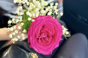 [🆕🇻🇳] X1R VIET NAM  – PHỤ TÙNG XE MÁY NHẬP KHẨU CHÍNH HÃNG 🚗 Top1Go 🏍️  ” Phụ nữ là bông hoa tô điểm cho cuộc sống,
Là ngọn lửa sưởi ấm trái tim,
Và là sức mạnh làm thay đổi thế giới !!!”Nhân ngày Quốc tế Phụ nữ 8/3, xi , shares-0✔️ , likes-156❤️️ , date-2025-03-08 21:23:30🇻🇳🇻🇳🇻🇳📰🆕