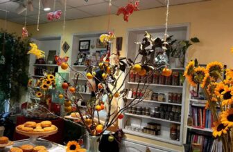 [???] Châu Hiền (Thiên Quang) – ACRO YOGA TEACHER ? Top1Yoga ??‍♀️ Hẹn gặp các bạn tại Đà Lạt cuối tháng 3 này nhaTại không gian đẹp như vườn cổ tích Sơn Tịnh Farmstay và tấm lòng tử tế của anh chị chủ chăm chút từng gó , shares-0✔️ , likes-21❤️️ , date-2025-03-09 14:12:31????????