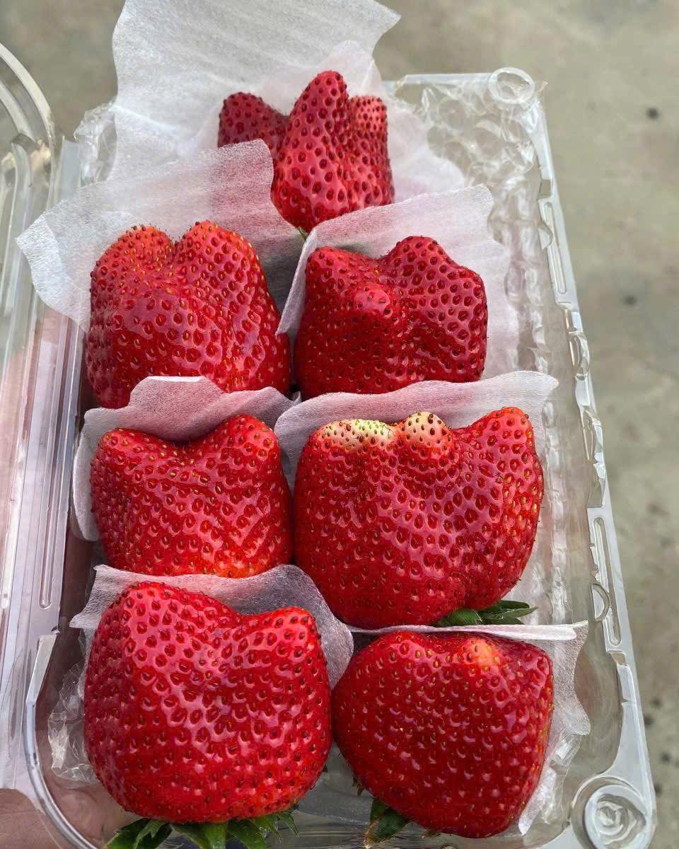 [🆕🇻🇳] Học Toán Lí cùng thầy Ái và Tư Duy Mở 📚 Top1Learn 📕 Vật Lý cùng thầy Ái và TDM tặng 2K7 một đề tự luyện do chính tay thầy Ái biên soạn tỉ mỉ tâm huyết, giúp các em nắm chắc phần LỰC TỪ mức điểm từ Cơ bản đến , shares-26✔️ , likes-463❤️️ , date-2025-03-09 19:36:01🇻🇳🇻🇳🇻🇳📰🆕