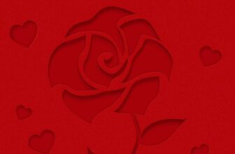 [🆕🇻🇳] Meiwei – Trung Hoa Mỹ Vị  🍔 Top1Food 🍜  8/3 RẠNG RỠ – MEIWEI GỬI NGÀN YÊU THƯƠNG ĐẾN PHÁI ĐẸPNhân ngày Quốc tế Phụ Nữ, Meiwei chúc chị em luôn xinh tươi, rạng rỡ, nhận thật nhiều hoa đẹp, quà  , shares-0✔️ , likes-1❤️️ , date-2025-03-08 15:30:06🇻🇳🇻🇳🇻🇳📰🆕