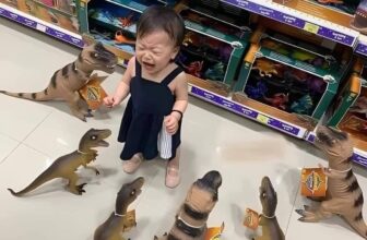 [🆕🇻🇳] The Kim’s – Premium Baby Store chuyên cung cấp sỉ và lẻ quần áo baby Made in Korea 🧑‍🧒❤️️👶⭐️ Khi Gen Z làm mẹ
, shares-1✔️ , likes-74❤️️ , date-2023-09-19 07:34:26🇻🇳🇻🇳🇻🇳📰🆕