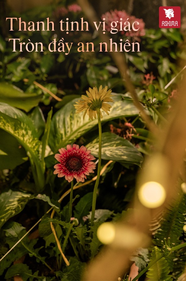 [🆕🇻🇳] Min Kids – Thời Trang Trẻ em 🧑‍🧒❤️️👶⭐️  , shares-0✔️ , likes-0❤️️ , date-2025-03-12 01:42:14🇻🇳🇻🇳🇻🇳📰🆕