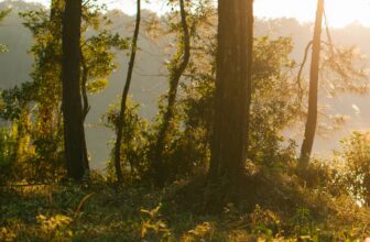 [🆕🇻🇳] LUXE Wedding – Dịch Vụ Cưới Hỏi Trọn Gói 🤵🏻 Top1Wedding 👰🏻  “𝐶𝑜́ 𝑙𝑒̃, 𝑦𝑒̂𝑢 𝑙𝑎̀ 𝑘ℎ𝑖 𝑡𝑎 𝑙𝑢𝑜̂𝑛 𝑑𝑎̀𝑛ℎ 𝑐ℎ𝑜 𝑛ℎ𝑎𝑢 𝑛ℎ𝑢̛̃𝑛𝑔 𝑎́𝑛ℎ 𝑛ℎ𝑖̀𝑛 𝑛𝑔𝑜̣𝑡 𝑛𝑔𝑎̀𝑜 𝑛ℎ𝑢̛ 𝑡ℎ𝑢𝑜̛̉ 𝑏𝑎𝑛 đ𝑎̂̀𝑢 𝑣𝑎̀ 𝑡𝑟𝑎̂𝑛 𝑡𝑟𝑜̣𝑛𝑔 𝑛ℎ𝑎𝑢 𝑛ℎ𝑢̛ 𝑡ℎ𝑒̂̉ 𝑐ℎ𝑎̆̉𝑛𝑔 𝑏𝑖𝑒̂́𝑡 𝑛𝑔𝑎̀𝑦 𝑚 , shares-1✔️ , likes-6❤️️ , date-2025-03-13 13:27:03🇻🇳🇻🇳🇻🇳📰🆕