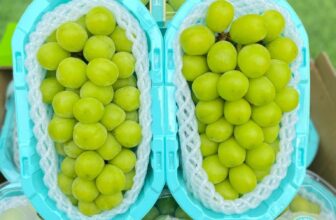 [🆕🇻🇳] HAKO Mart – Hàng Tiêu Dùng Nhập Khẩu Đà Nẵng 🍔 Top1Food  🍜  𝑵𝒉𝒐 𝑺𝒖̛̃𝒂 Đ𝒂̀𝒊 𝑳𝒐𝒂𝒏 𝑯𝒐̣̂𝒑 𝑵𝒉𝒖̛̣𝒂
𝑀𝑎̃ 𝑛ℎ𝑜 𝑛𝑎̀𝑦 𝑐ℎ𝑢̛𝑎 𝑏𝑎𝑜 𝑔𝑖𝑜̛̀ 𝑙𝑎̀ ℎ𝑒̂́𝑡 ℎ𝑜𝑡 𝑛ℎ𝑎 𝑐ℎ𝑖̣ 𝑒𝑚
—
#110K/ Hộp tầm 1,3kg-1,5kg
—
Quả tươi xanh, Siêu to
Cứ , shares-0✔️ , likes-1❤️️ , date-2025-03-10 15:52:44🇻🇳🇻🇳🇻🇳📰🆕