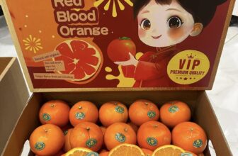 [🆕🇻🇳] Thời Trang Trẻ Em 0 – 6 tuổi Mialy Kids 🧑‍🧒❤️️👶⭐️ Quà 8/3 cho các Mẹ và Gia đình mình – thiết thực ạ cũng cần
Đủ Ngon chưa các Mẹ
Mở bán 199k/ thùng 5kg miễn Ship
Cho 20 mẹ nhanh tay nhất
Cú pháp : Ca , shares-0✔️ , likes-4❤️️ , date-2025-03-07 18:45:15🇻🇳🇻🇳🇻🇳📰🆕