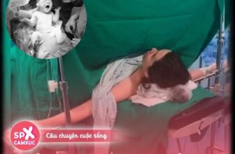 [🆕🇻🇳] Tiệm nhà Min – Shop chuyên quần áo trẻ em hàng QCCC, phong cách Hàn Quốc 😎❤️️⭐️ Phẫu thuật sinh mổ là thủ tục phẫu thuật duy nhất mà người ta phải mở bảy lớp mô:  Da, mô dưới da, màng bọc cơ, cơ thẳng bụng, màng bụng, tử cung và túi ối , shares-3✔️ , likes-6❤️️ , date-2025-03-09 03:39:27🇻🇳🇻🇳🇻🇳📰🆕