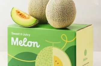 [🆕🇻🇳] Bao bì Toàn Cầu mang sứ mệnh quảng bá thương hiệu, sản phẩm của người Việt 🎨 Top1Designs ✨  Công Ty Bao Bì Toàn Cầu –  Sản xuất cung cấp thùng dưa lưới xuất khẩuBạn đang cần tìm một đơn vị sản xuất bao bì hoàn hảo, với mong muốn bảo vệ những trá , shares-0✔️ , likes-0❤️️ , date-2025-03-11 16:00:07🇻🇳🇻🇳🇻🇳📰🆕