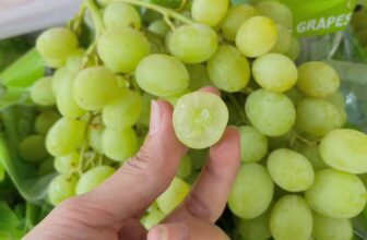 [🆕🇻🇳] Thảo Nhi Fruits – Chuyên cung cấp các loại thực phẩm sạch an toàn cho sức khoẻ 🍔 Top1Food  🍜  Nho Úc hàng bay  siêu đỉnh.Nho xanh Úc hàng bay – siêu ngọt – cứng như đá – như ăn cục kẹo nho.#220k/kg___________
THAO NHI FRUITS
KHU THƯƠNG MẠI,  , shares-0✔️ , likes-1❤️️ , date-2025-03-12 21:28:08🇻🇳🇻🇳🇻🇳📰🆕