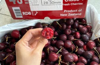 [🆕🇻🇳] Thảo Nhi Fruits – Chuyên cung cấp các loại thực phẩm sạch an toàn cho sức khoẻ 🍔 Top1Food  🍜 Thời điểm này – ai có được em này là hàng hiếm.
Cherry Newzealand – cứng giòn ngọt lắm luôn.HÀNG CHUẨN NEW#350k/kg  (Size 28-30)___________
THAO NH , shares-0✔️ , likes-0❤️️ , date-2025-03-16 15:59:40🇻🇳🇻🇳🇻🇳📰🆕