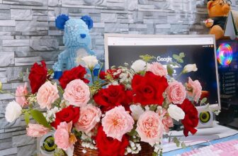 [🆕🇻🇳] Muối Ớt Siêu Ngon 🍔 Top1Food 🍜 Lì xì cho chị em phụ nữ đặt hàng 8/3 hôm nay ạ
, shares-0✔️ , likes-2❤️️ , date-2025-03-08 15:33:15🇻🇳🇻🇳🇻🇳📰🆕