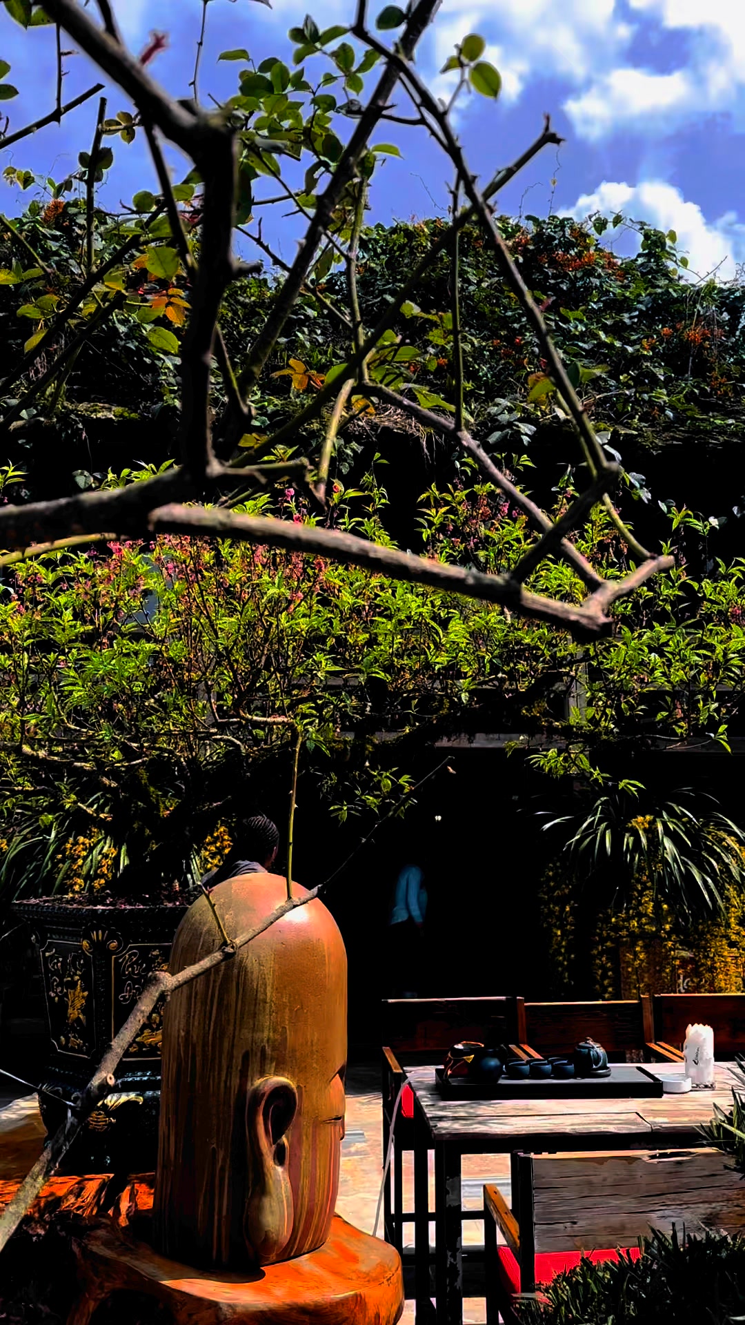 [☕️🇻🇳] La Dao Spa – Coffee House, homestay 🥤 Top1Coffee ☕️ Sa Pa dù có âm độ nhưng đến với Lá Dao Spa bản Tả Van ngâm lá thuốc Dao đỏ thì lúc nào cũng ấm áp ạ Nước thuốc nóng hổi , trà mờ , shares-0✔️ , likes-0❤️️ , date-2025-02-28 23:32:46🇻🇳🇻🇳🇻🇳📰🆕