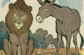 [🆕🇻🇳] TokyoLife – Hàng tiêu dùng chính hãng Nhật Bản và Thời trang thông minh 👕 Top1Fashion 👗  Một ngày nọ, Lừa nói với Hổ: “Cỏ có màu xanh nước biển.”
Hổ lắc đầu đáp: “Không, cỏ có màu xanh lá chứ.”Hai con vật tranh cãi không ngừng, cuối cùng quyế , shares-62✔️ , likes-133❤️️ , date-2025-03-12 05:00:04🇻🇳🇻🇳🇻🇳📰🆕