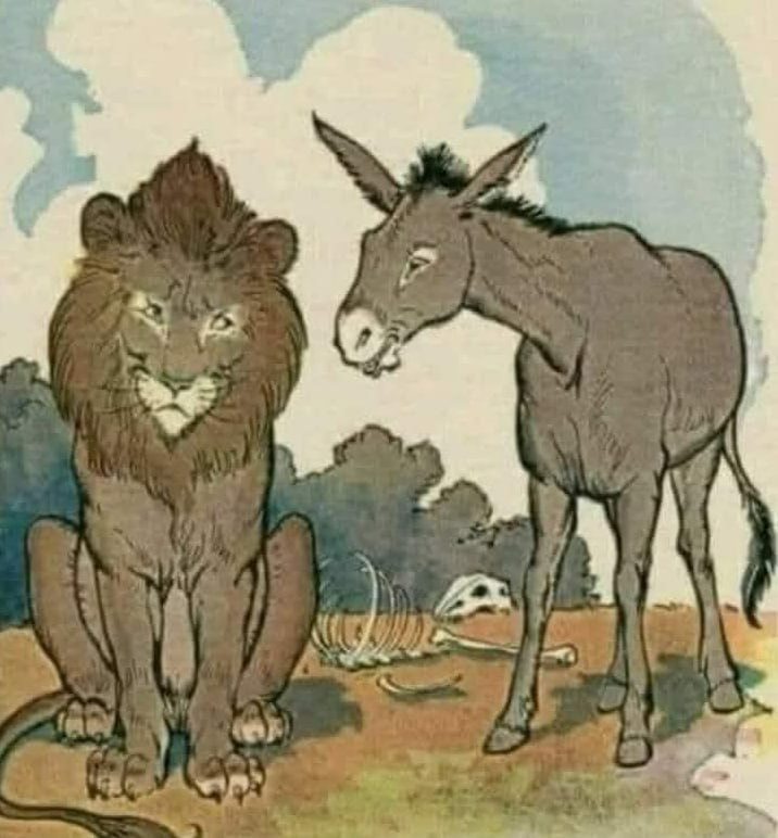 [🆕🇻🇳] TokyoLife – Hàng tiêu dùng chính hãng Nhật Bản và Thời trang thông minh 👕 Top1Fashion 👗  Một ngày nọ, Lừa nói với Hổ: “Cỏ có màu xanh nước biển.”
Hổ lắc đầu đáp: “Không, cỏ có màu xanh lá chứ.”Hai con vật tranh cãi không ngừng, cuối cùng quyế , shares-62✔️ , likes-133❤️️ , date-2025-03-12 05:00:04🇻🇳🇻🇳🇻🇳📰🆕