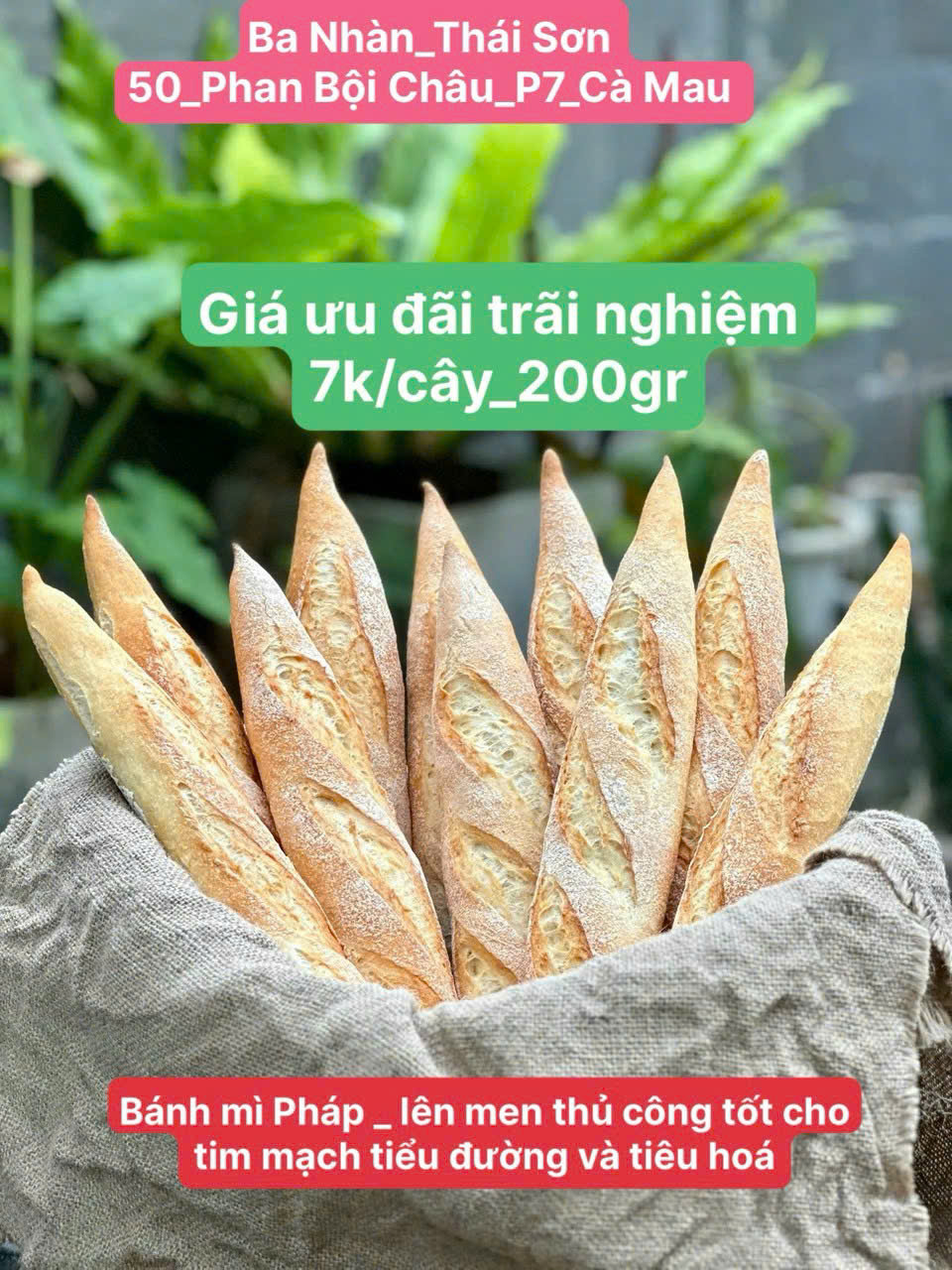 [☕️🇻🇳] Zero One Coffee – Bakery 🥤 Top1Coffee ☕️ _ MENU NÓNG HỎI 3 GIỜ CHIỀU NAY KHÁCH ƠI
BÁNH MÌ PHÁP – GIÁ TRẢI NGHIỆM CÒN 7k/ổ
Bánh Mì Hoa Cúc Lá Dứa 32k/cái – MUA 1 TẶNG 1
B , shares-4✔️ , likes-1❤️️ , date-2025-03-12 21:51:59🇻🇳🇻🇳🇻🇳📰🆕