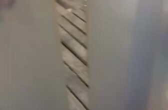 [🆕🇻🇳] TH Fruit – Chuyên Trái Cây Nhập Khẩu Cao Cấp 🍔 Top1Food  🍜 Đã hoàn thành những đơn hàng cho ngày lễ 8/3 ======== Tel: 0945200779 – 0979789234 – 0901330037#TH_Fruit – 15 Năm Chuyên Sỉ & Lẻ Trái Cây Nhập Khẩu Cao Cấp , shares-0✔️ , likes-0❤️️ , date-2025-03-07 16:41:58🇻🇳🇻🇳🇻🇳📰🆕