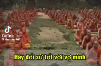 [🆕🇻🇳] Dương Tú Vi – Order Kids – Chuyên hàng quảng châu – thiết kế cao cấp cho bé 🧑‍🧒❤️️👶⭐️  , shares-0✔️ , likes-0❤️️ , date-2025-03-05 14:50:33🇻🇳🇻🇳🇻🇳📰🆕