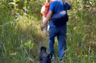 [???] Connect & Inspire Yoga ? Top1Yoga ??‍♀️ Hơi thở của rừng#giaovienyogatherapy #yogatherapy , shares-0✔️ , likes-0❤️️ , date-2025-03-05 16:15:55????????