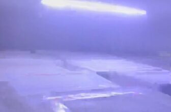 [🆕🇻🇳] TÔM HÙM KHÁNH HOÀ – Chuyên sỉ lẻ, tôm hùm sống, tôm hùm ngộp, tôm hùm cấp đông, số lượng lớn 🍔 Top1Food  🍜 Cần tiềm đầu ra tôm hùm cấp đông hàng loại 1 xnk.  Thái lqn. Cam trung  giá tại kho. Sl đầu tấn   Giá từ 2xx. 3xx. 4xx , shares-0✔️ , likes-0❤️️ , date-2025-03-08 15:28:44🇻🇳🇻🇳🇻🇳📰🆕