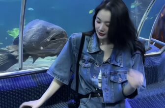 [🆕🇻🇳] Ha Thu Hoang Clothing – Chuyên Thời Trang Nữ 👕 Top1Fashion 👗  Đẹp mee ạaaa , shares-0✔️ , likes-0❤️️ , date-2025-03-11 21:34:50🇻🇳🇻🇳🇻🇳📰🆕