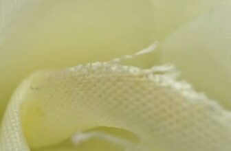 [🆕🇻🇳] Yoga Quỳnh Phạm – Chia sẻ kiến thức, kinh nghiệm luyện tập về yoga 🧘 Top1Yoga 🧘 Nào mình cùng vặn nhé!!! , shares-0✔️ , likes-0❤️️ , date-2025-03-12 23:46:29🇻🇳🇻🇳🇻🇳📰🆕