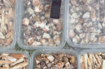 [🆕🇻🇳] ANH THƯ FOOD – Thịt Càng Cua / Thịt Ghẹ -Tôm Tích 🍔 Top1Food  🍜   Thịt Gối Cua – Thịt Ngoe / Chân Cua – Hàng Tươi Mỗi Ngày
Hàng Chuẩn Cua Cà Mau – Hàng Tuyệt Đối Không Pha
Bên Em Bao:  Đủ Kí
Bao Tươi  Bao Hôi  Bao , shares-0✔️ , likes-0❤️️ , date-2025-03-09 17:10:39🇻🇳🇻🇳🇻🇳📰🆕