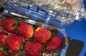 [🆕🇻🇳] Trái Cây Nhập Khẩu Tuy Hoà-Phú An Food 🍔 Top1Food  🍜 Siêu phẩm cập bến ạ , shares-0✔️ , likes-1❤️️ , date-2025-03-05 16:27:21🇻🇳🇻🇳🇻🇳📰🆕