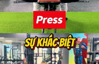 [🆕🇻🇳] A.C.E Private Gym – dịch vụ huấn luyện cá nhân chất lượng cao 🏋️ Top1Gym 💪 Nhiều người tập fly vẫn như press vậy  #ACECoaching #privategym #fitness #chestworkout , shares-0✔️ , likes-0❤️️ , date-2025-03-11 02:42:59🇻🇳🇻🇳🇻🇳📰🆕