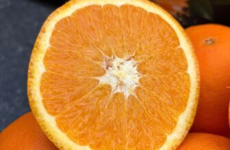 [🆕🇻🇳] F5 Fruit Shop Hồ Chí Minh-hệ thống bán lẻ Trái cây Nhập khẩu cao cấp 🍔 Top1Food  🍜 𝐂𝐚𝐦 𝐊𝐢𝐞̂́𝐧𝐠 𝐍𝐡𝐚̣̂𝐩 𝐊𝐡𝐚̂̉𝐮 – 𝐓𝐡𝐚̂̀𝐧 𝐃𝐮̛𝐨̛̣𝐜 𝐌𝐮̀𝐚 𝐃𝐢̣𝐜𝐡 𝐂𝐮́𝐦
Giá bán: 50.000/KG
𝑵𝒈𝒖𝒐̂̀𝒏 𝒅𝒊𝒏𝒉 𝒅𝒖̛𝒐̛̃𝒏𝒈 𝒕𝒖̛̣ 𝒏𝒉𝒊𝒆̂𝒏 𝒕𝒖̛̀ 𝒄𝒂𝒎:
Cam Kiếng có thể bổ sung lượng lớ , shares-1✔️ , likes-0❤️️ , date-2025-03-15 21:30:02🇻🇳🇻🇳🇻🇳📰🆕