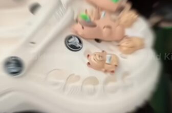 [🆕🇻🇳]  Kido Kid – Chuyên bán quần áo, giầy dép, mũ, khăn, phụ kiện trẻ em chính hãng 🧑‍🧒❤️️👶⭐️  , shares-0✔️ , likes-6❤️️ , date-2025-03-08 03:49:15🇻🇳🇻🇳🇻🇳📰🆕